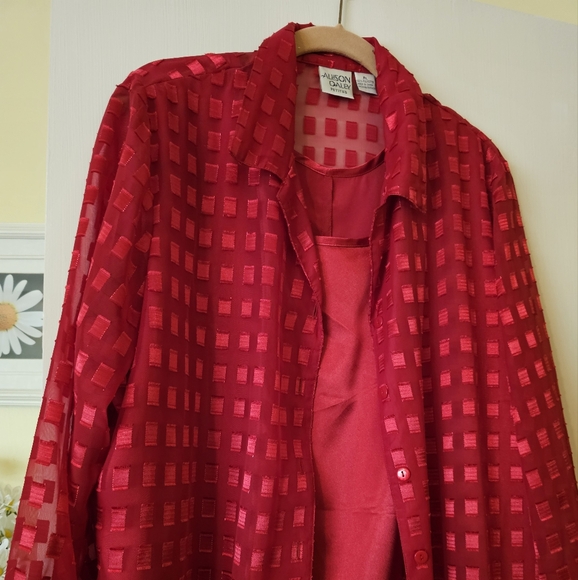 Shell/Blouse Set- Petite Large - Picture 1 of 4